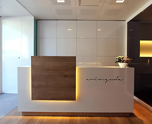 Boss Chair In Laxmi Nagar